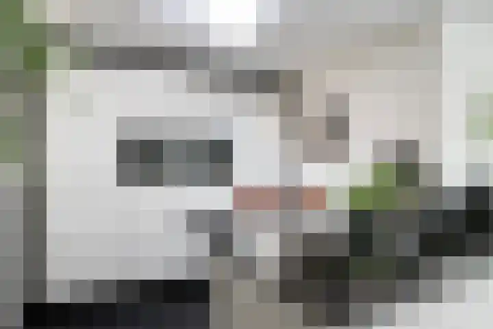 Boekesteynlaan 18 Helmond thumbnail 13