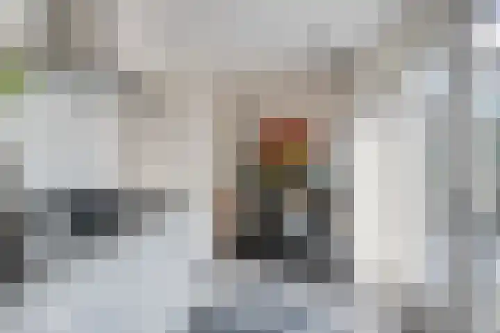 Boekesteynlaan 18 Helmond thumbnail 14