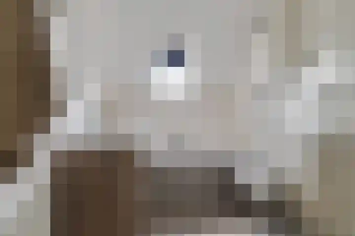 Boekesteynlaan 18 Helmond thumbnail 20