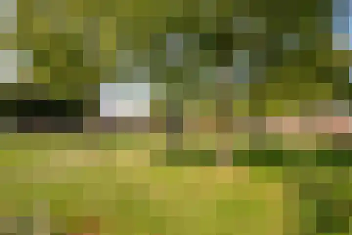 Boekesteynlaan 18 Helmond thumbnail 29