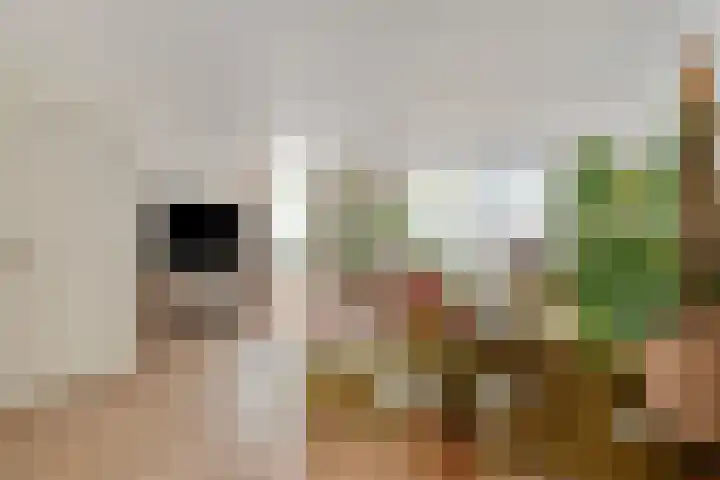 Boekesteynlaan 18 Helmond thumbnail 8
