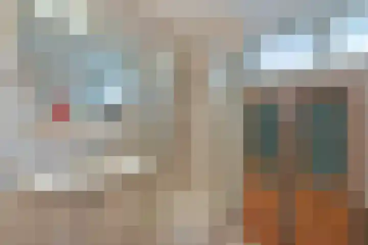 Boeket 13 Zwaag thumbnail 21