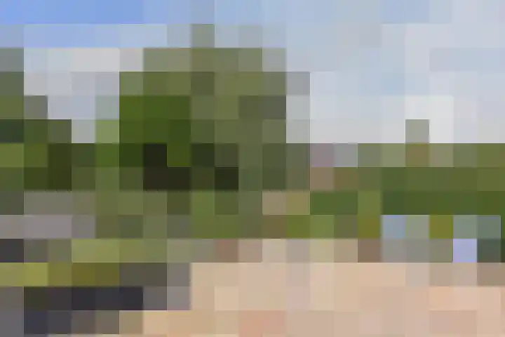 Boeket 13 Zwaag thumbnail 30