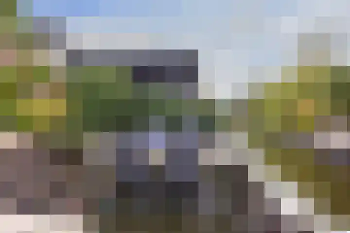 Boeket 13 Zwaag thumbnail 32