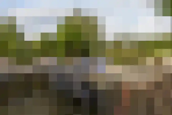 Boeket 13 Zwaag thumbnail 33