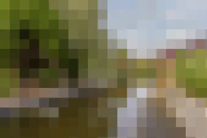 Boeket 13 Zwaag thumbnail 34