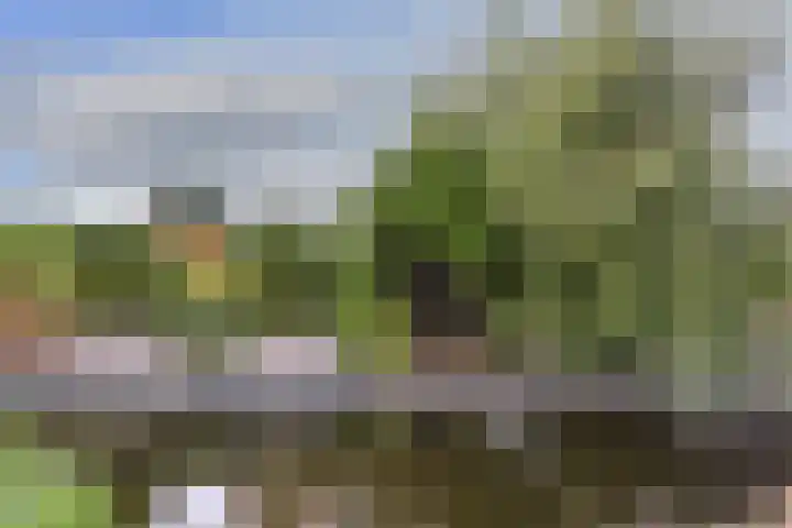 Boeket 13 Zwaag thumbnail 35