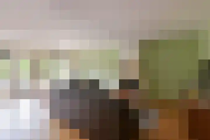 Boeket 13 Zwaag thumbnail 7