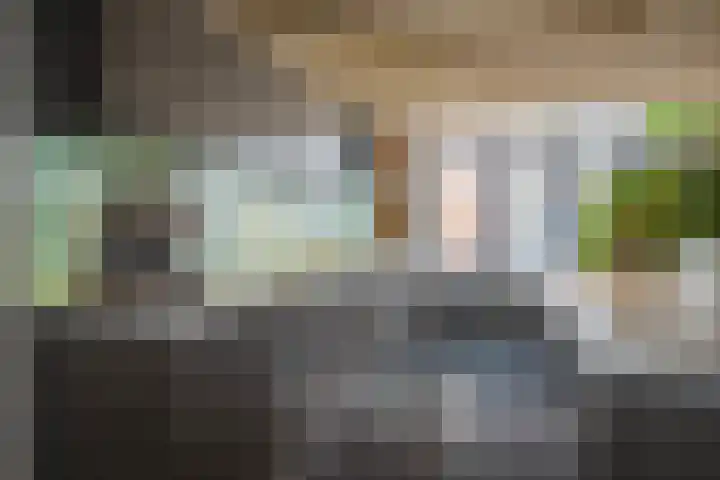 Boekholtstraat 17 Doesburg thumbnail 22