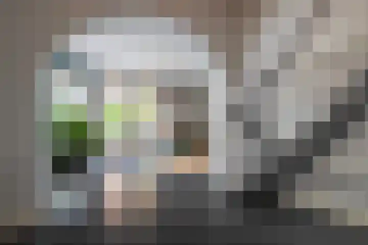 Boekholtstraat 17 Doesburg thumbnail 25