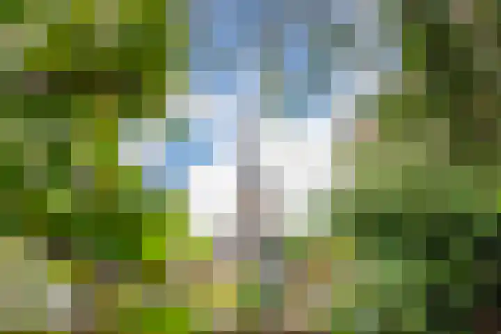 Boekholtstraat 17 Doesburg thumbnail 46