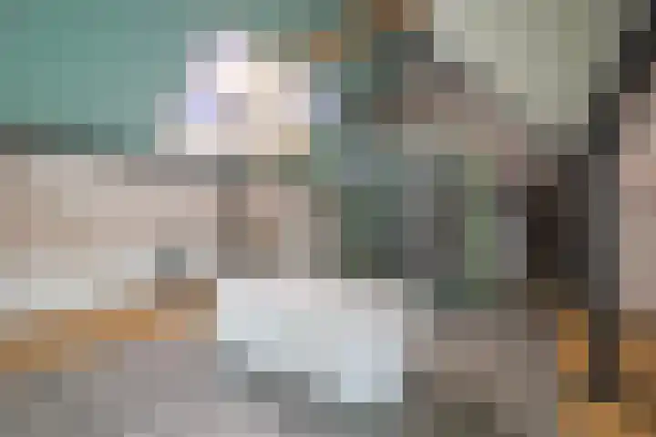 Boekholtstraat 17 Doesburg thumbnail 47