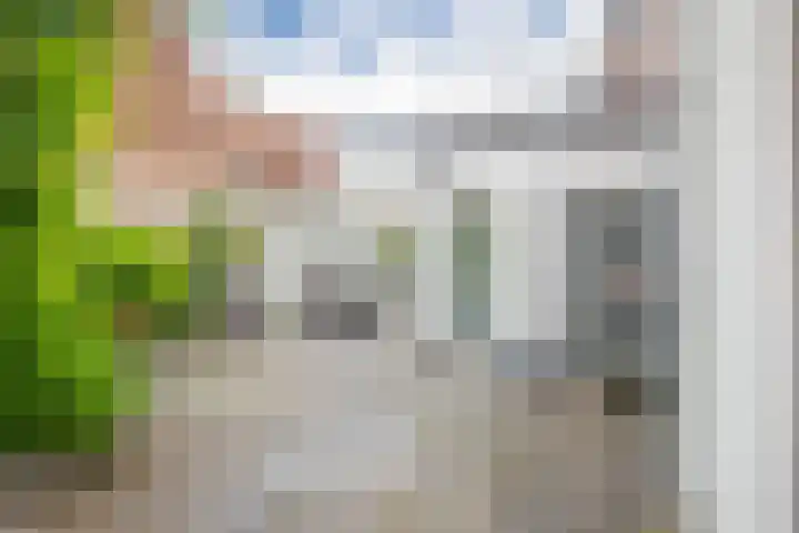 Boekholtstraat 17 Doesburg thumbnail 52