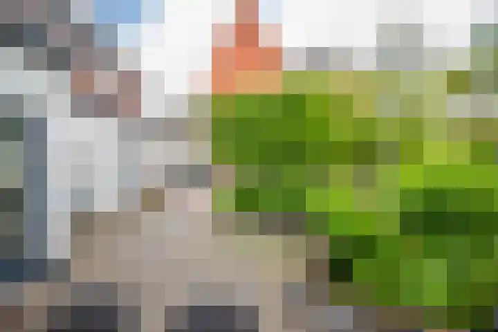 Boekholtstraat 17 Doesburg thumbnail 57