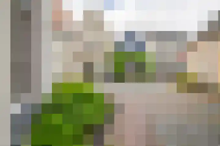 Boekholtstraat 17 Doesburg thumbnail 6
