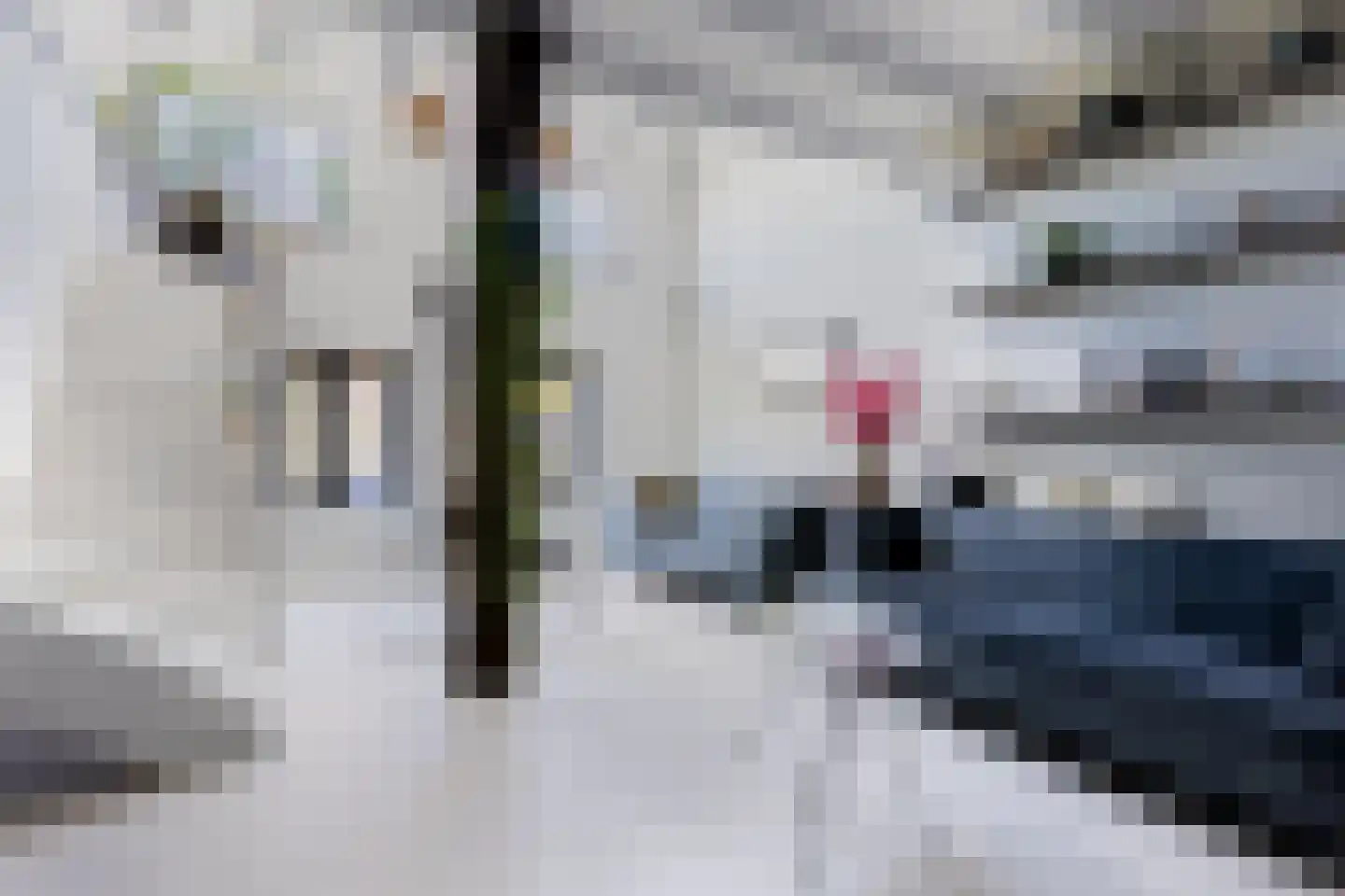 Boekholtstraat 18 Doesburg thumbnail 17