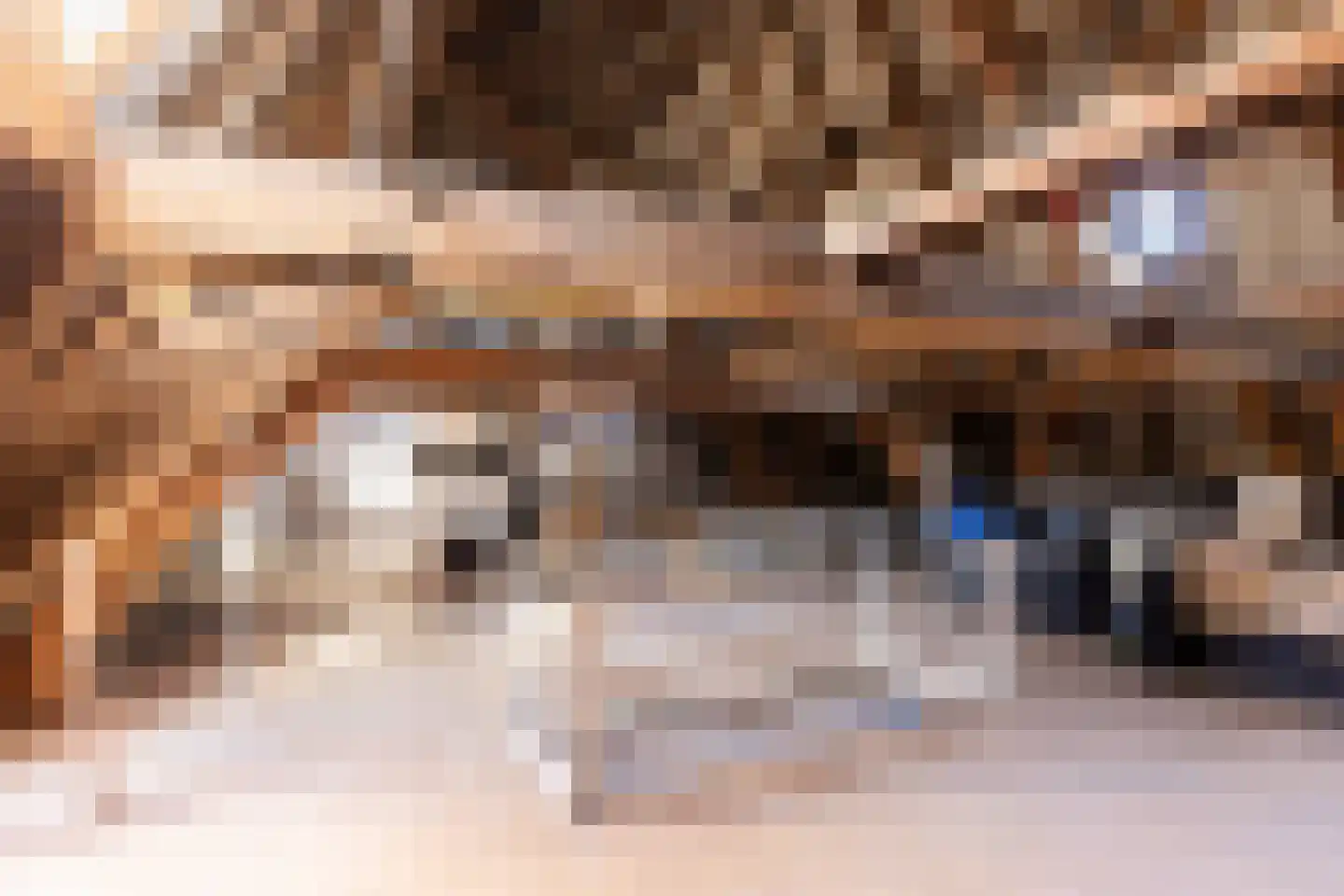 Boekholtstraat 18 Doesburg thumbnail 19