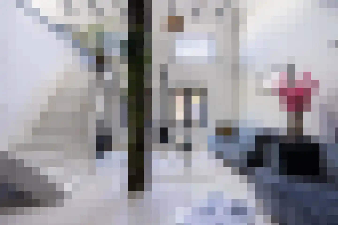 Boekholtstraat 18 Doesburg thumbnail 19