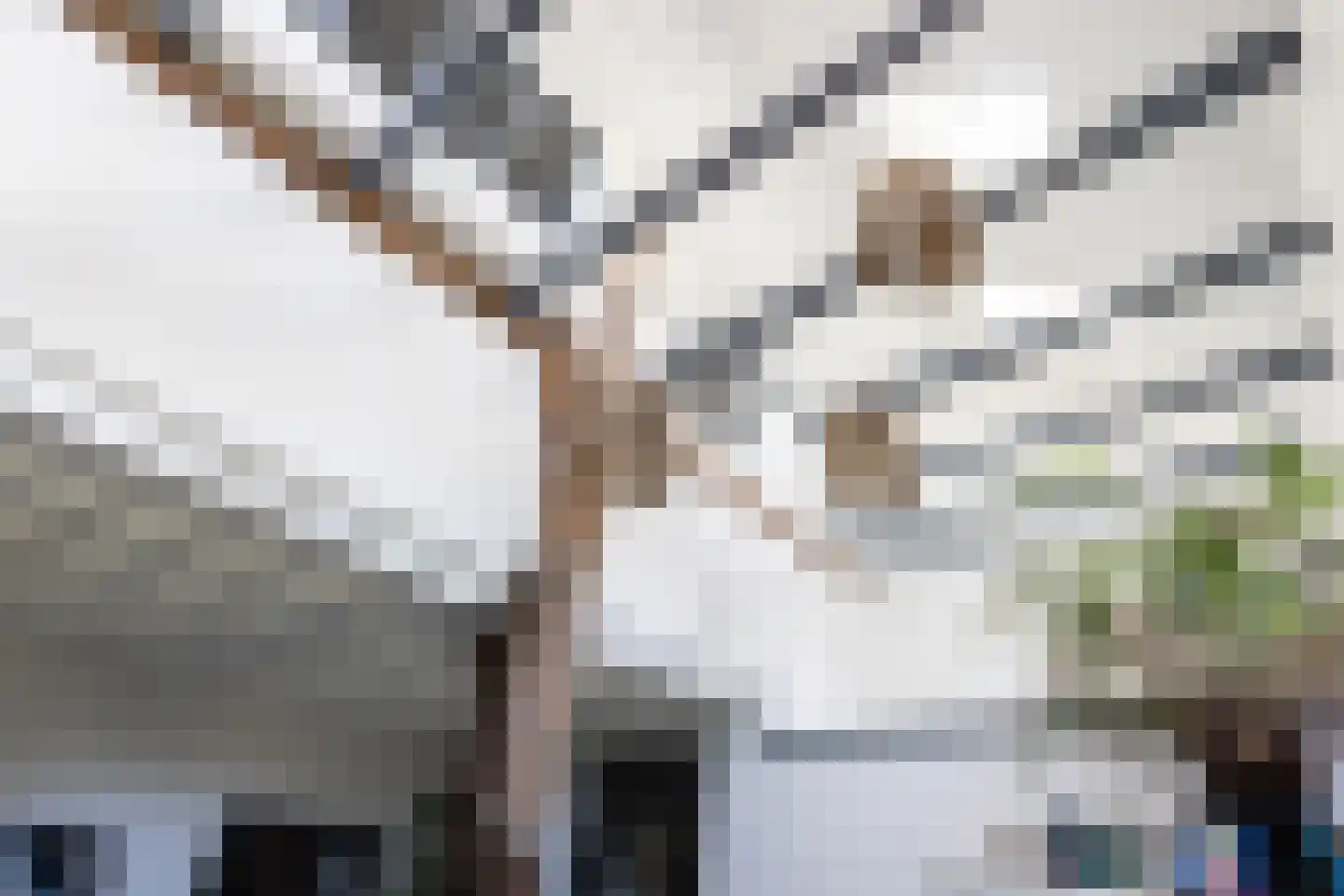 Boekholtstraat 18 Doesburg thumbnail 20