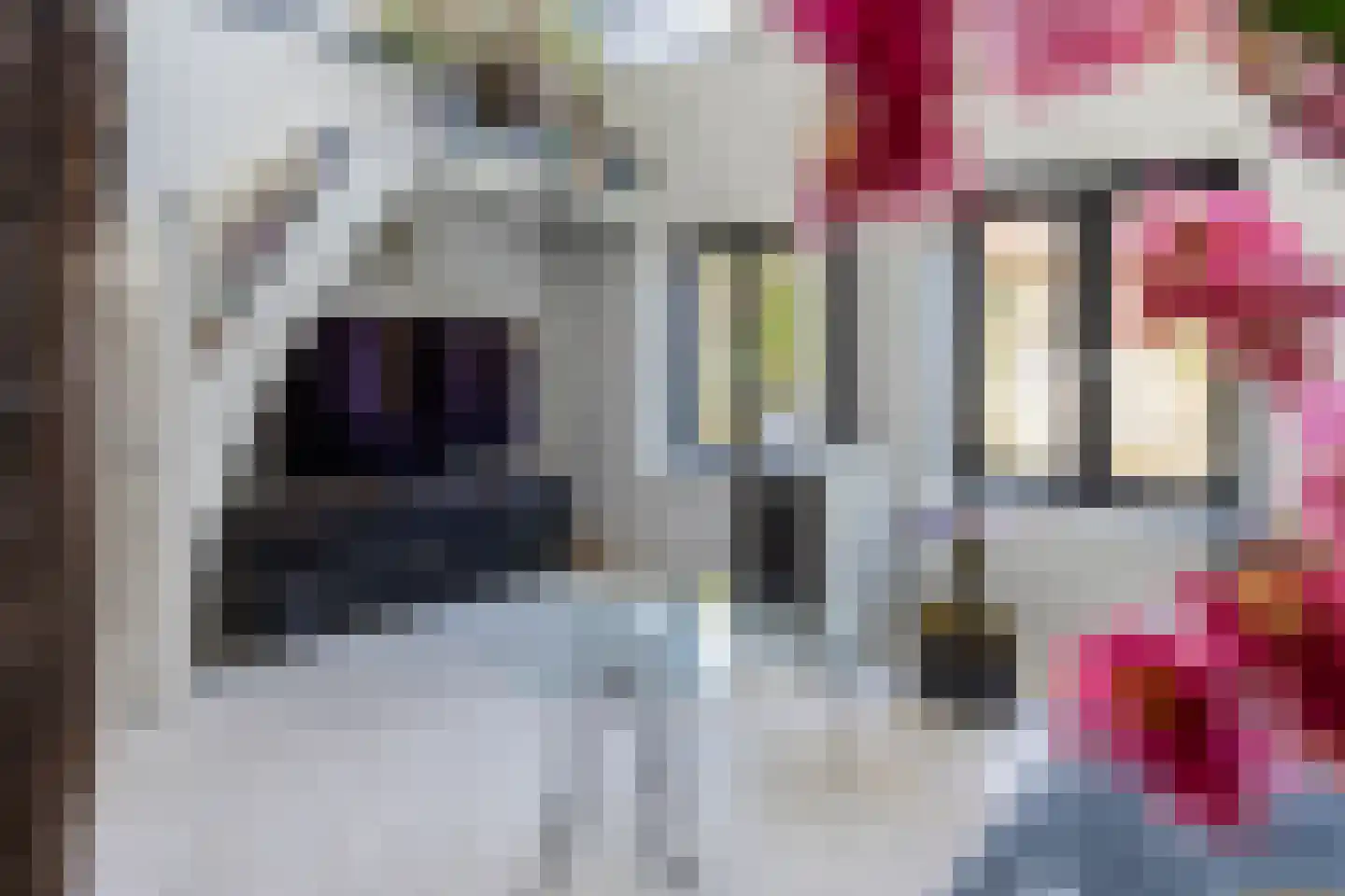 Boekholtstraat 18 Doesburg thumbnail 21