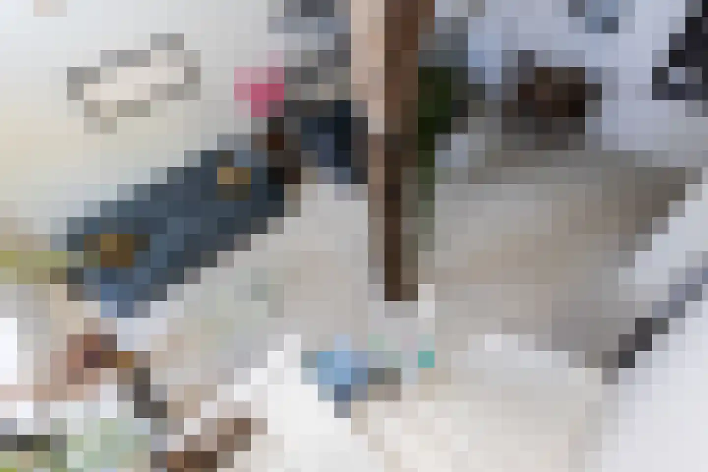 Boekholtstraat 18 Doesburg thumbnail 22