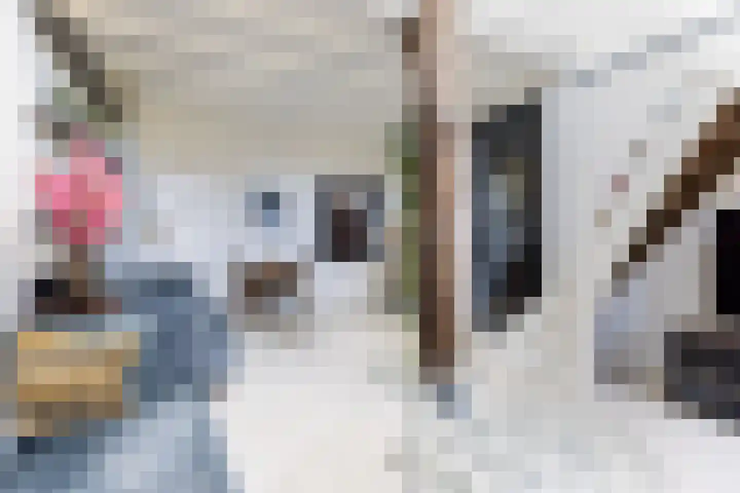 Boekholtstraat 18 Doesburg thumbnail 23