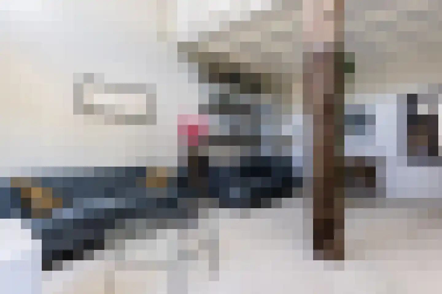 Boekholtstraat 18 Doesburg thumbnail 24