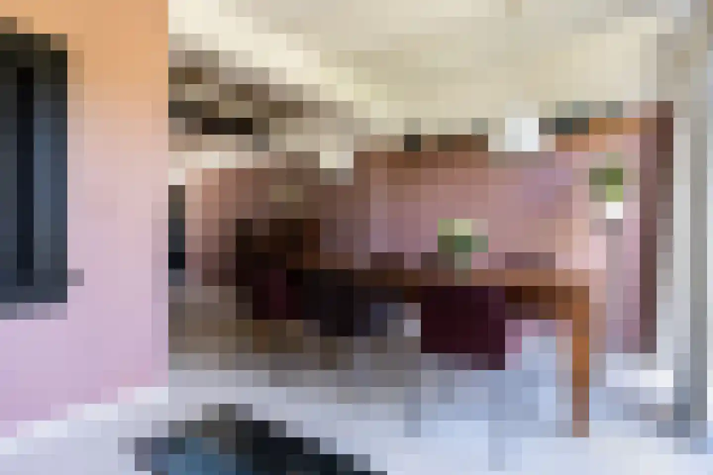 Boekholtstraat 18 Doesburg thumbnail 33