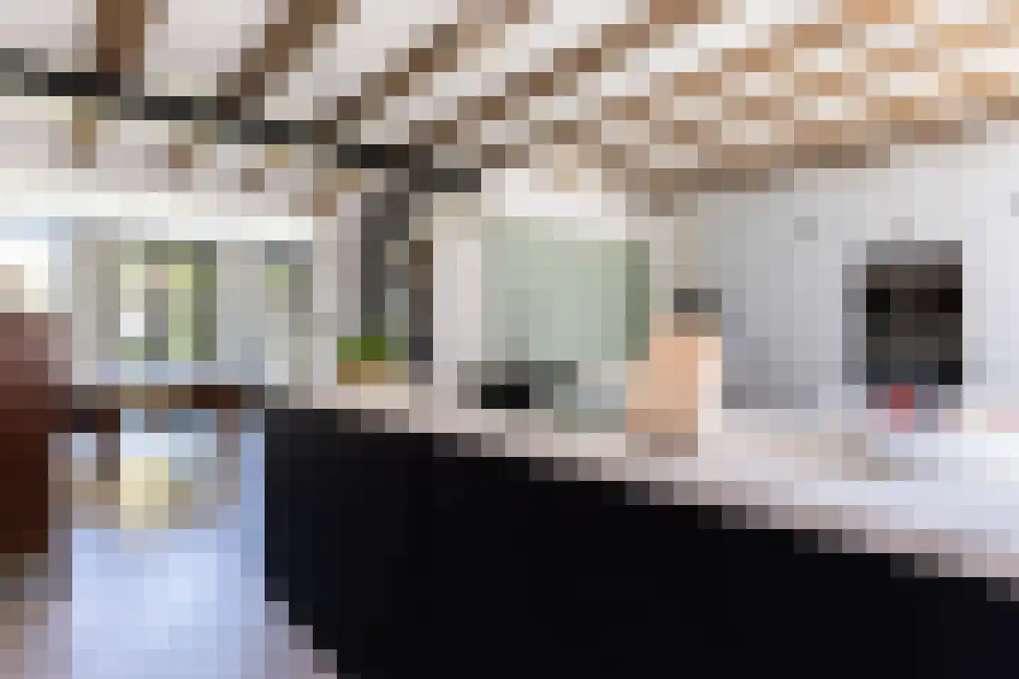 Boekholtstraat 18 Doesburg thumbnail 38