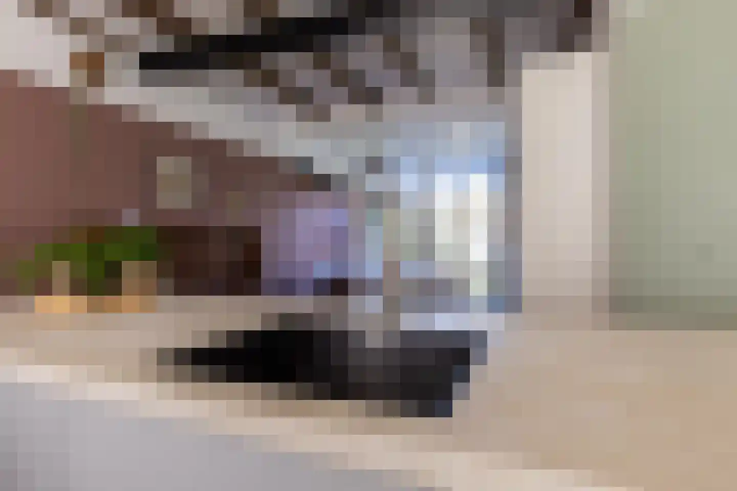 Boekholtstraat 18 Doesburg thumbnail 39