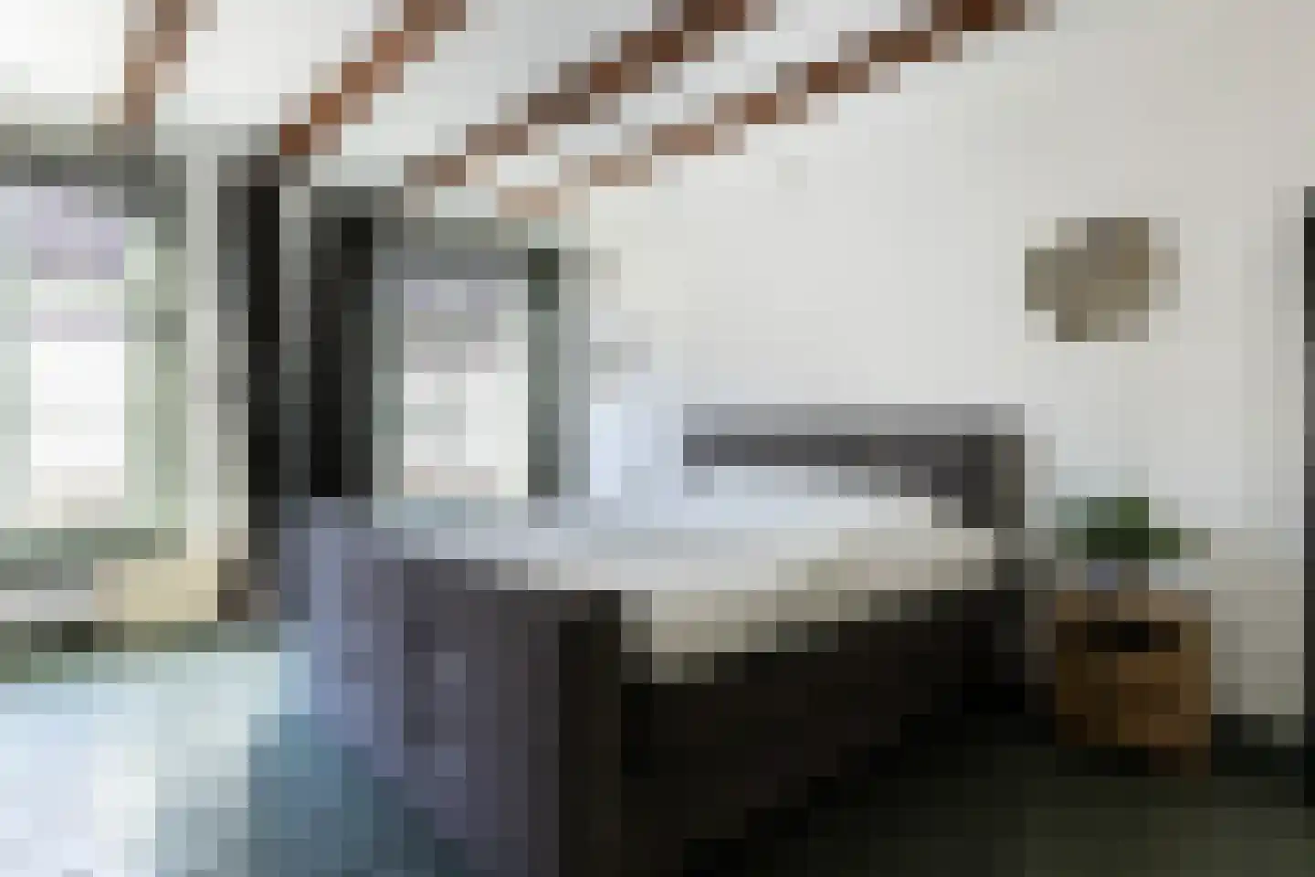 Boekholtstraat 18 Doesburg thumbnail 4