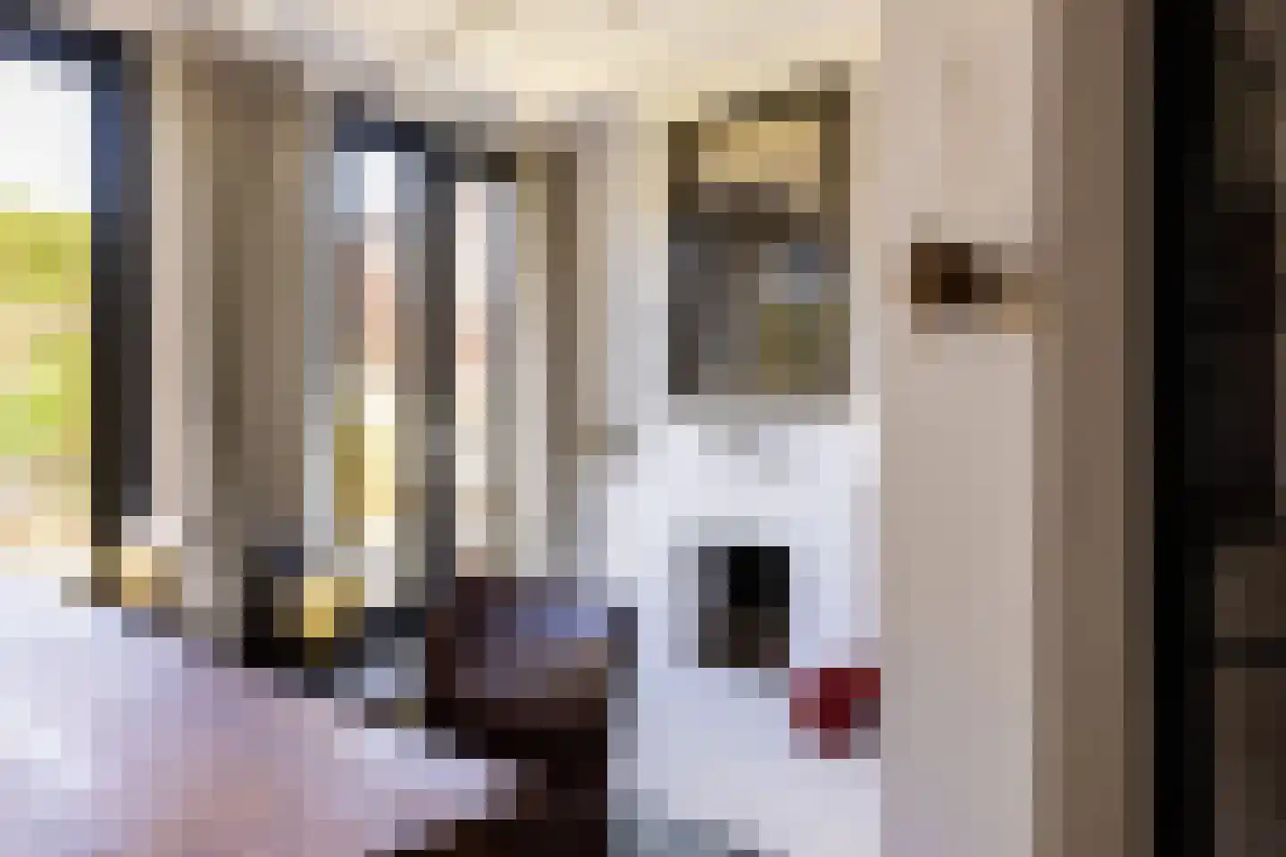 Boekholtstraat 18 Doesburg thumbnail 42