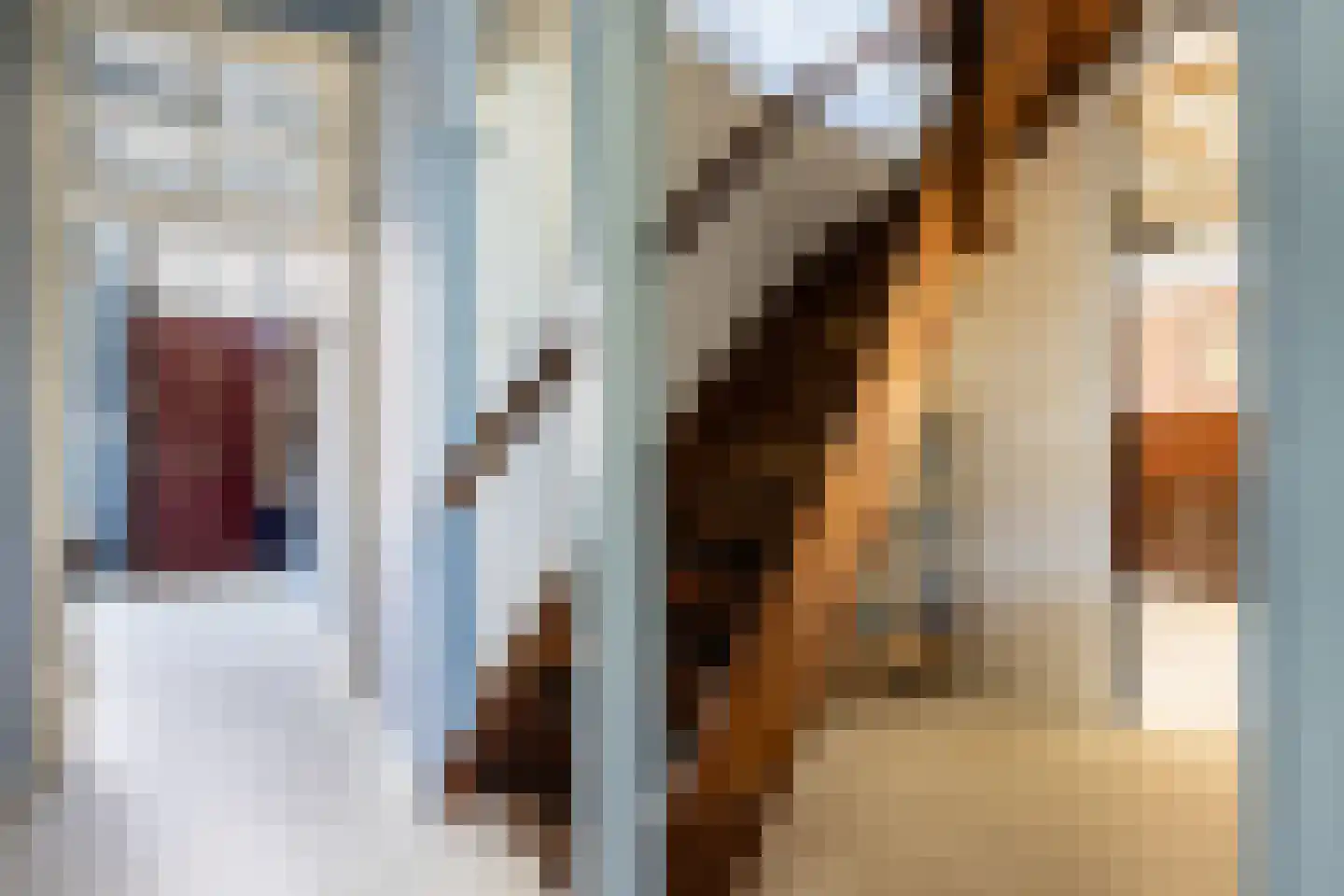 Boekholtstraat 18 Doesburg thumbnail 47