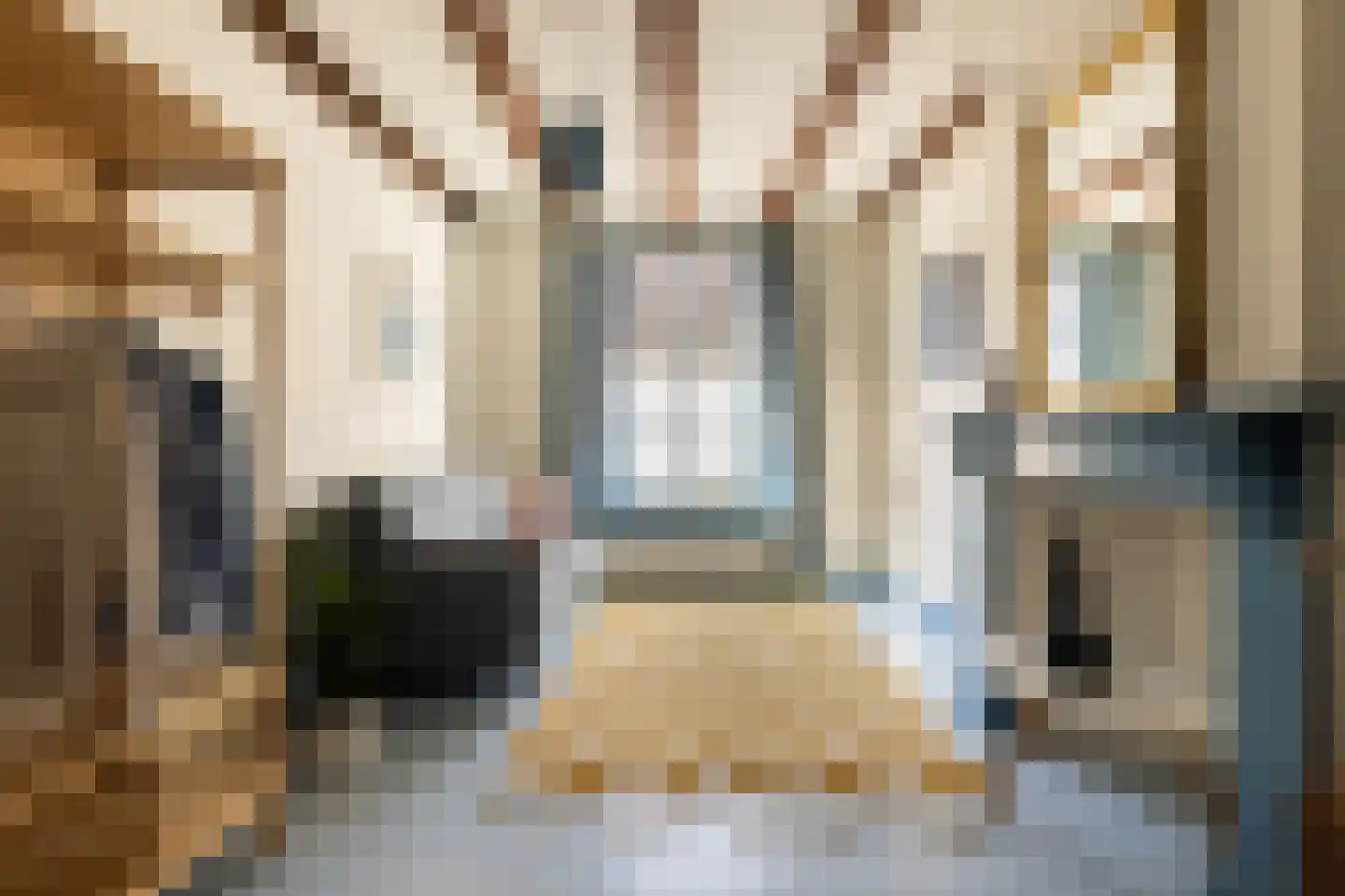 Boekholtstraat 18 Doesburg thumbnail 51