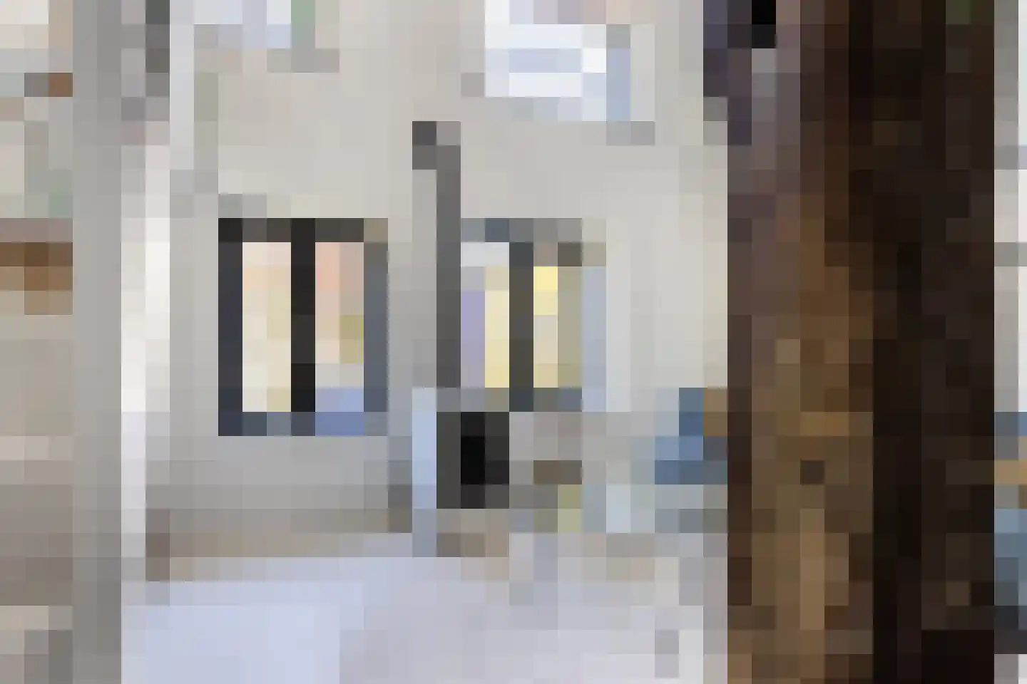 Boekholtstraat 18 Doesburg thumbnail 6