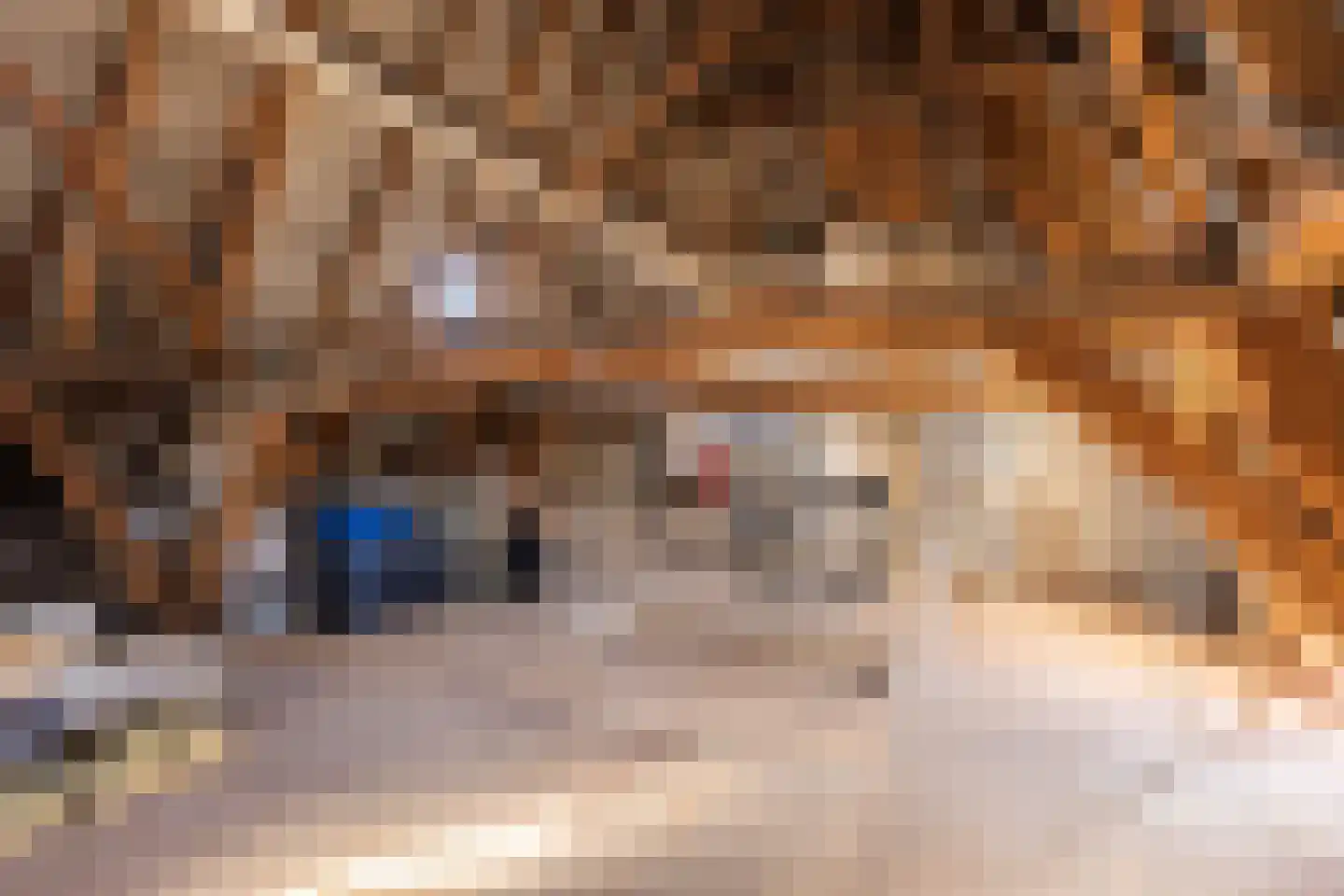 Boekholtstraat 18 Doesburg thumbnail 62