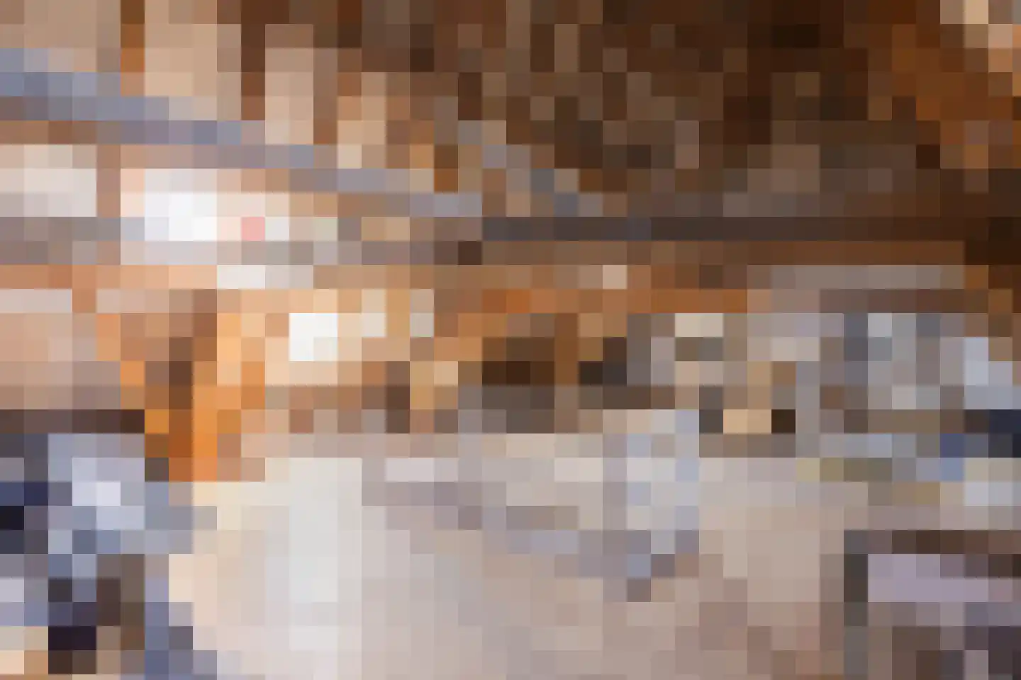 Boekholtstraat 18 Doesburg thumbnail 63
