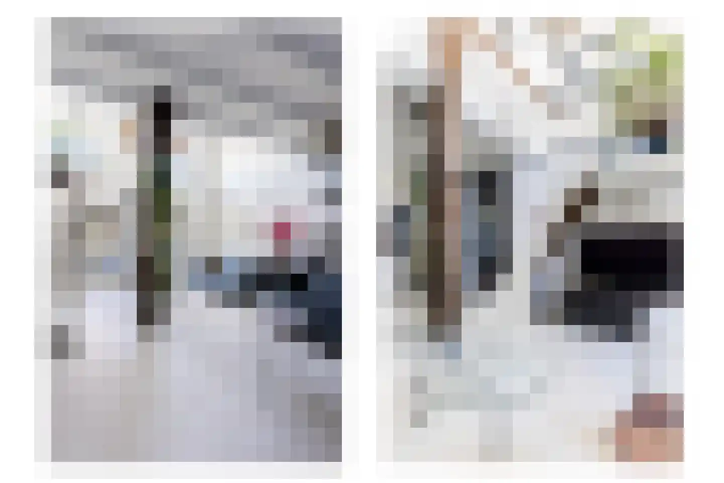 Boekholtstraat 18 Doesburg thumbnail 8