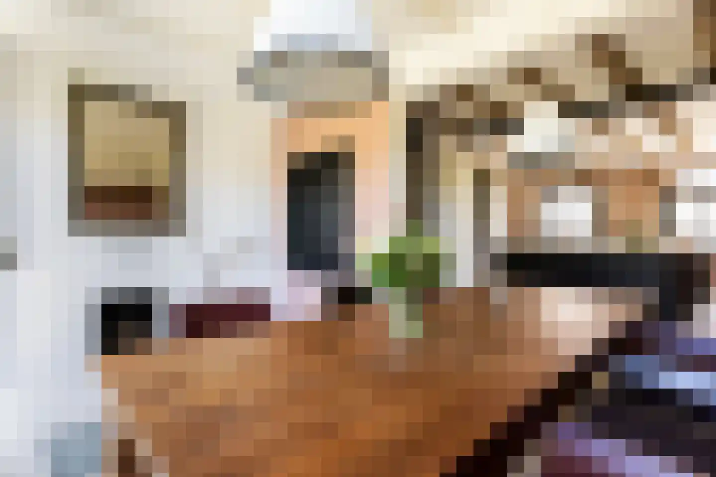 Boekholtstraat 18 Doesburg thumbnail 9