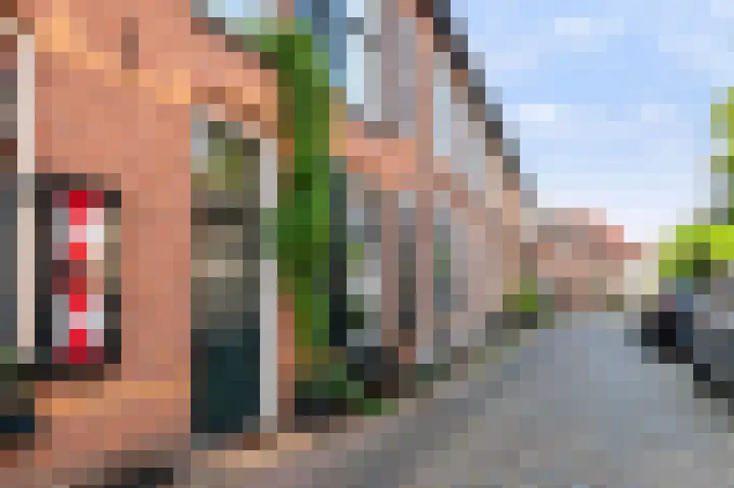 Boekholtstraat 40 Doesburg thumbnail 23