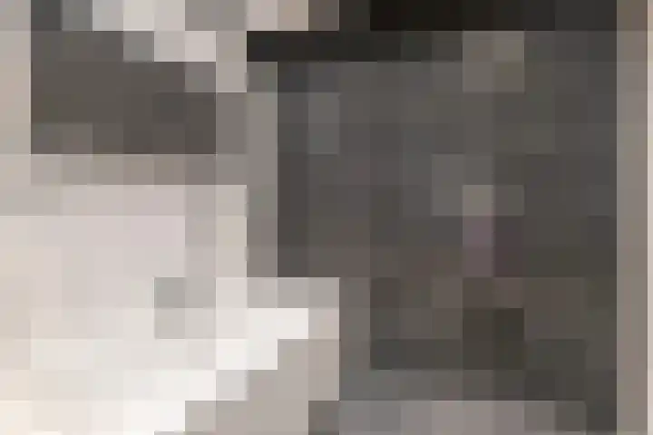 Boekhorst 3 Ede thumbnail 21