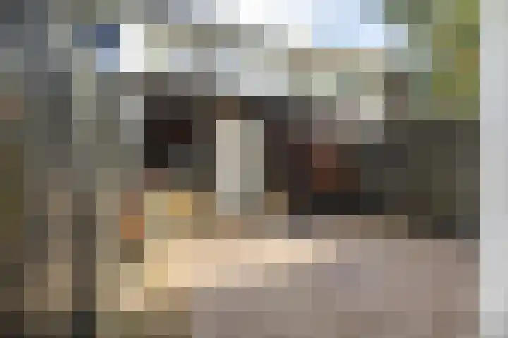 Boekhorst 3 Ede thumbnail 26