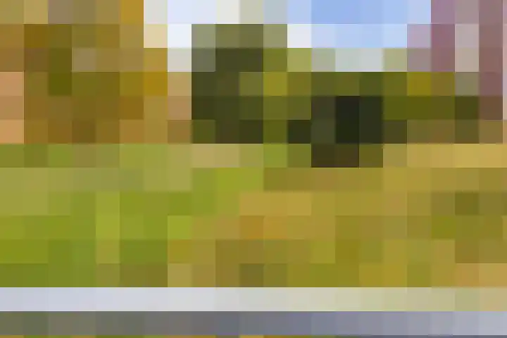 Boekhorst 3 Ede thumbnail 28