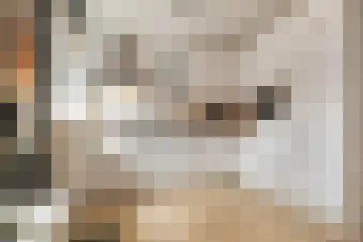 Boekhorst 3 Ede thumbnail 7
