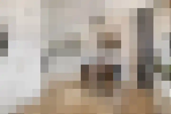 Boekhorst 3 Ede thumbnail 9