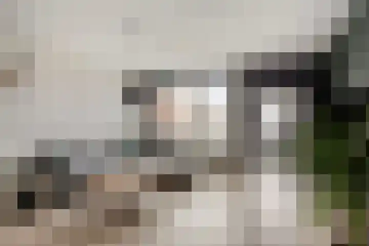 Boekhorst 31 Ede thumbnail 6