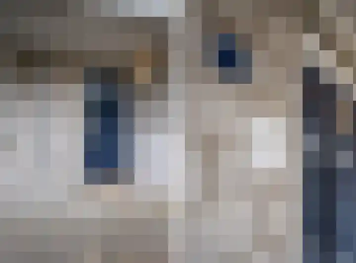 Boekhorstenstraat 1 Arnhem thumbnail 10