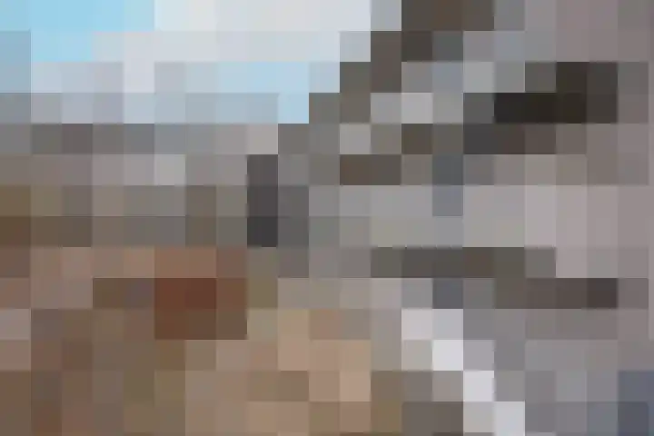 Boekhorstenstraat 1 Arnhem thumbnail 32