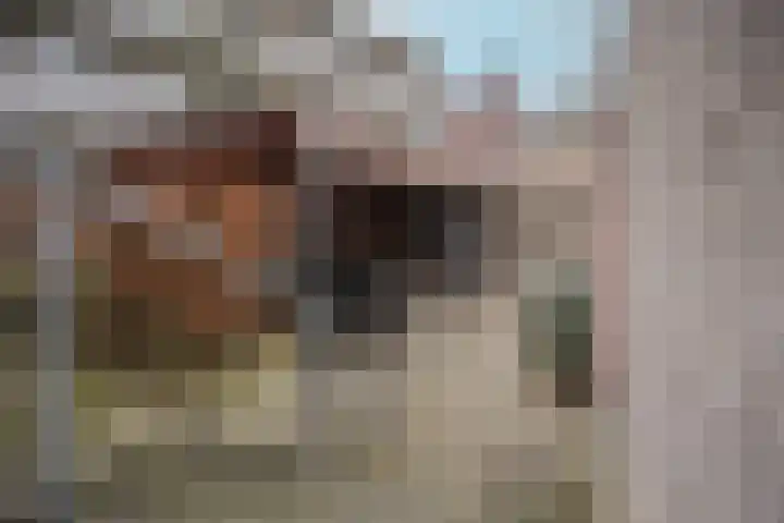 Boekhorstenstraat 1 Arnhem thumbnail 33