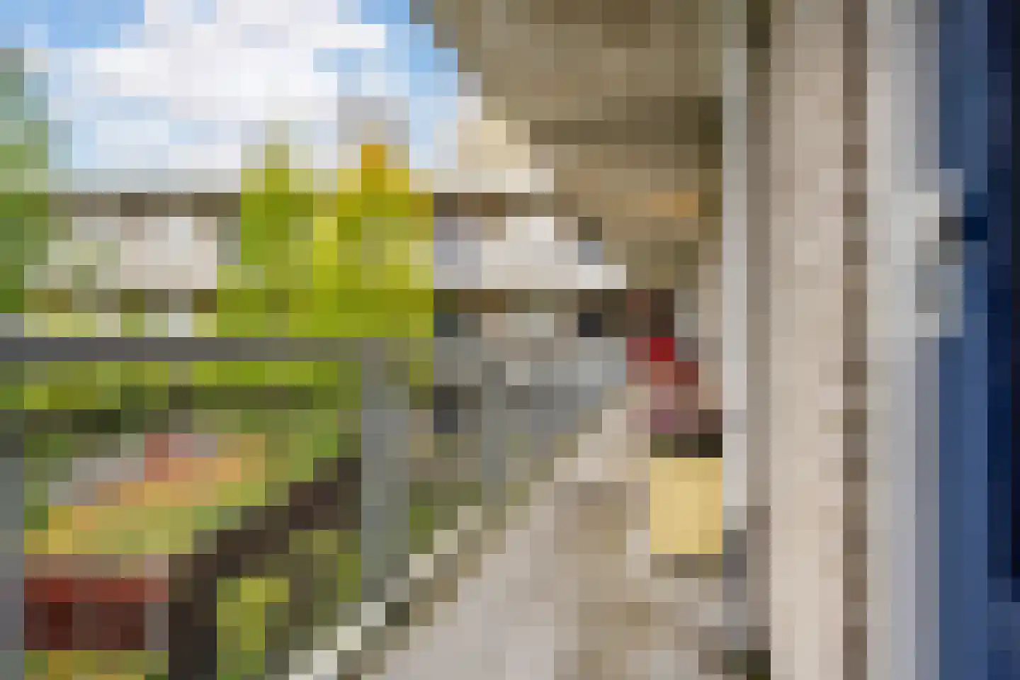 Boekhorstenstraat 15 Arnhem thumbnail 26